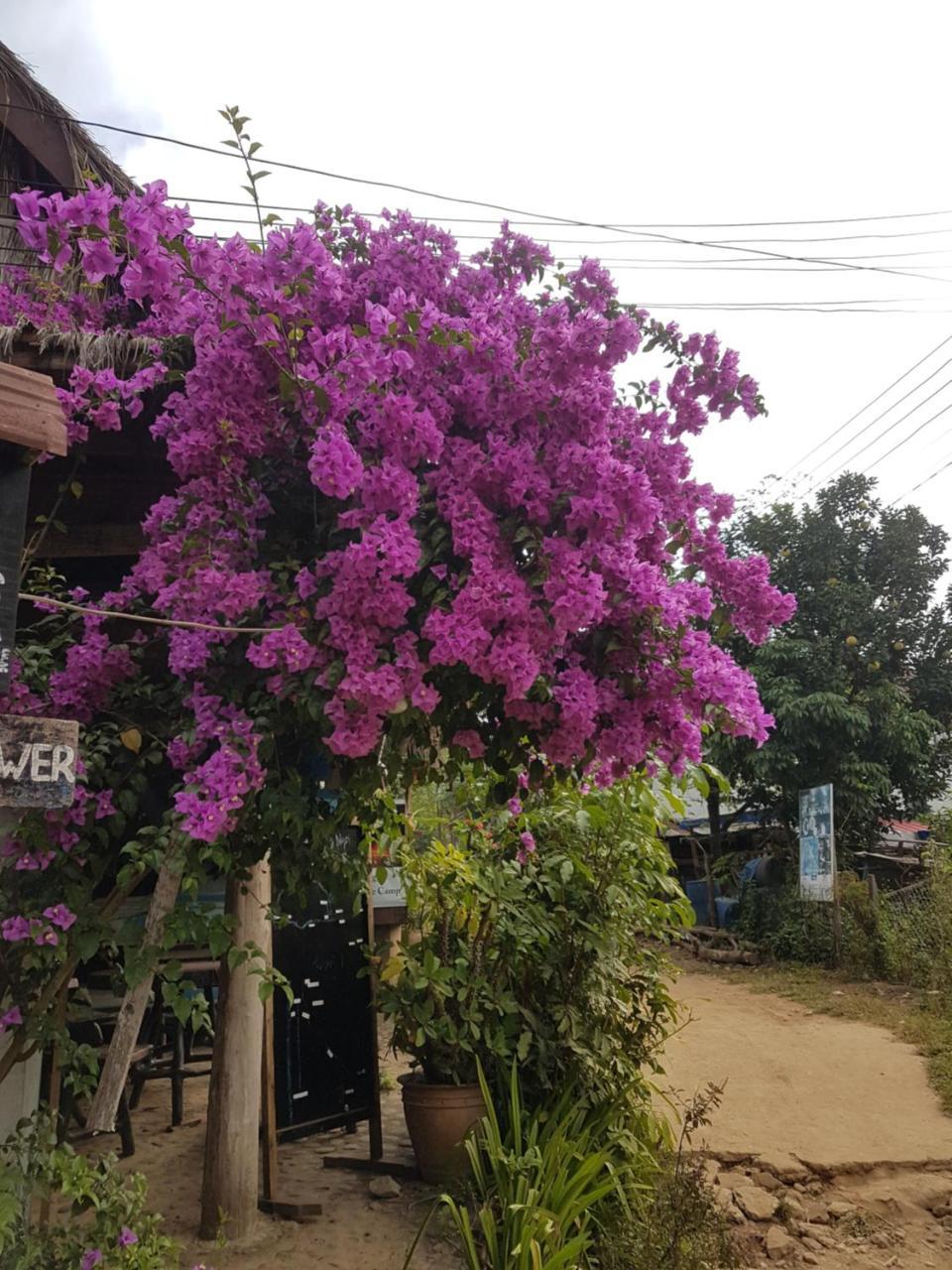 Lattanavongsa Guesthouse And Bungalows Muang Ngoi المظهر الخارجي الصورة